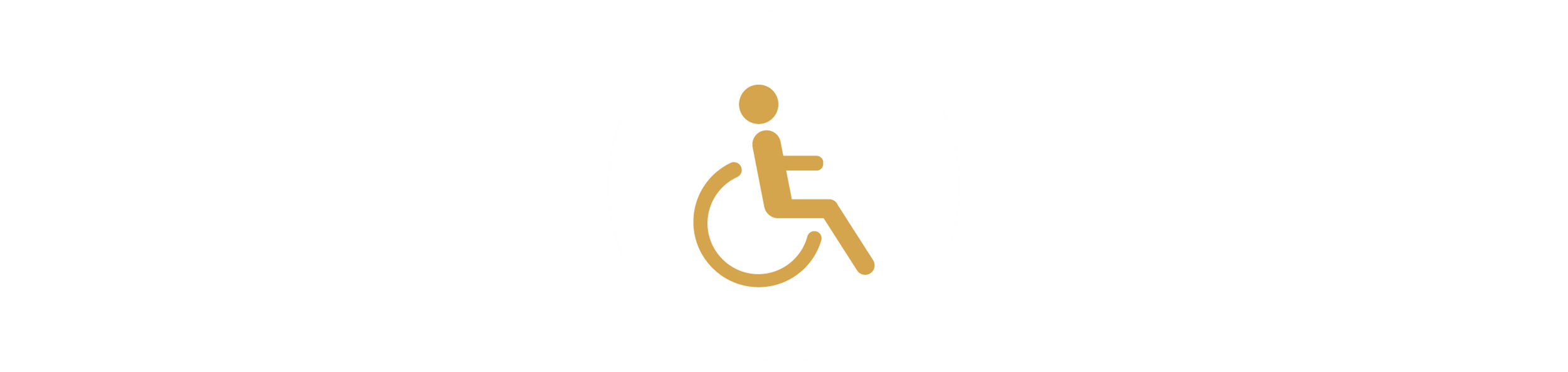 Handicap Icon