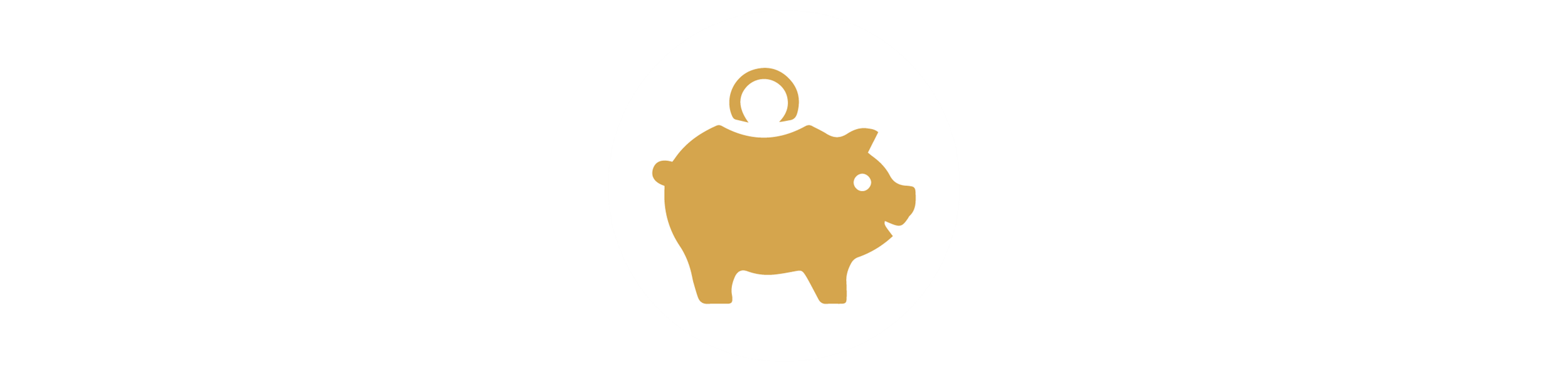 Piggy Bank Icon