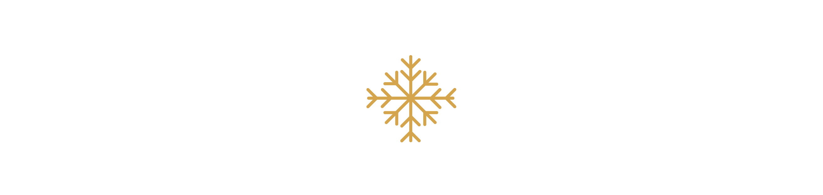 Snowflake Icon