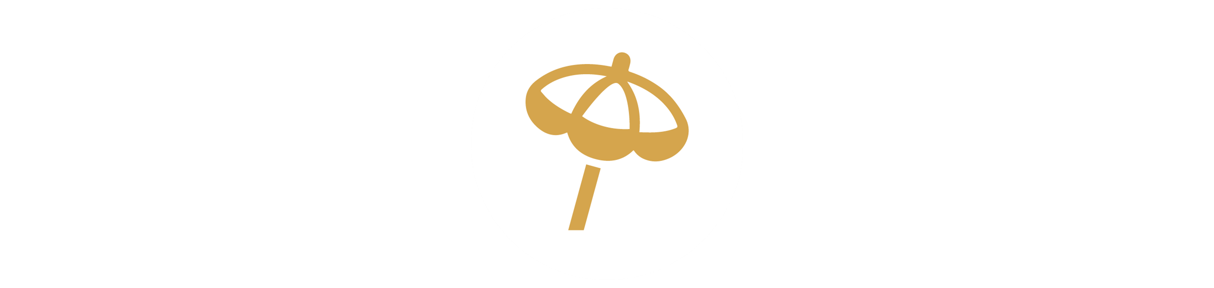 Umbrella Icon